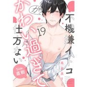 不機嫌イトコがかわい過ぎて仕方ない（19） side直樹（英和出版社） [電子書籍]