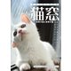 猫窓（アシオナcomic） [電子書籍]