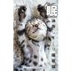 眠～ねむるネコ～（アシオナcomic） [電子書籍]