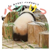 パンけつ（主婦の友社） [電子書籍]