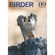 BIRDER（バーダー） 2023年9月号（文一総合出版） [電子書籍]
