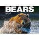 BEARS（文一総合出版） [電子書籍]