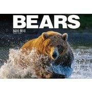 BEARS（文一総合出版） [電子書籍]