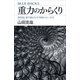 重力のからくり 相対論と量子論はなぜ「相容れない」のか（講談社） [電子書籍]