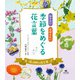 知りたい おぼえたい 季節をめぐる花言葉 涙と別れの花言葉（汐文社） [電子書籍]