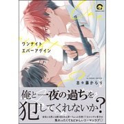 ワンナイト エバーアゲイン 【電子限定かきおろし漫画付】（海王社） [電子書籍]