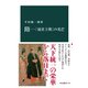 隋―「流星王朝」の光芒（中央公論新社） [電子書籍]