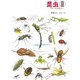 昆虫 <II>（福音館書店） [電子書籍]