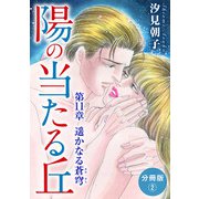 陽の当たる丘 第11章 遥かなる蒼穹 分冊版2（秋水社ORIGINAL） [電子書籍]
