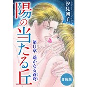 陽の当たる丘 第11章 遥かなる蒼穹 合冊版（秋水社ORIGINAL） [電子書籍]