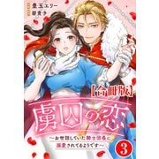 虜囚の恋～お世話していた騎士団長に溺愛されてるようです～【合冊版】3（秋水社ORIGINAL） [電子書籍]