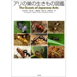 アリの巣の生きもの図鑑