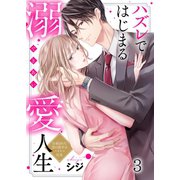 ハズレではじまる溺愛人生～仕組まれた恋の相手はハイスぺ社長（3）（wwwave comics） [電子書籍]