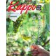 Kappo 仙台闊歩 2023年11月号（プレスアート） [電子書籍]