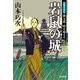 岩鼠の城～定廻り同心 新九郎、時空を超える～（光文社） [電子書籍]