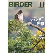 BIRDER（バーダー） 2023年11月号（文一総合出版） [電子書籍]