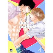 大人の恋はややこしい（分冊版） 【第4話】（海王社） [電子書籍]
