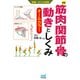 運動・からだ図解  新版 筋肉・関節・骨の動きとしくみ（マイナビ出版） [電子書籍]