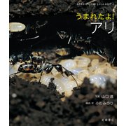 うまれたよ！ アリ（岩崎書店） [電子書籍]