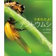 うまれたよ！ テントウムシ（岩崎書店） [電子書籍]