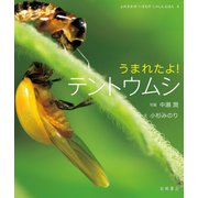 うまれたよ！ テントウムシ（岩崎書店） [電子書籍]