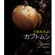 うまれたよ！ カブトムシ（岩崎書店） [電子書籍]