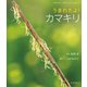 うまれたよ！ カマキリ（岩崎書店） [電子書籍]