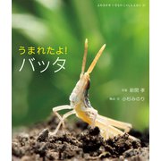 うまれたよ！ バッタ（岩崎書店） [電子書籍]