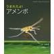 うまれたよ！ アメンボ（岩崎書店） [電子書籍]