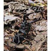 うまれたよ！ クワガタムシ（岩崎書店） [電子書籍]
