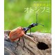 うまれたよ！ オトシブミ（岩崎書店） [電子書籍]