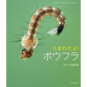 うまれたよ！ ボウフラ（岩崎書店） [電子書籍]