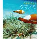 うまれたよ！ クマノミ（岩崎書店） [電子書籍]