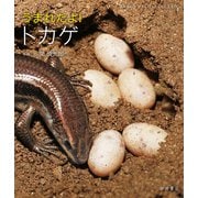 うまれたよ！ トカゲ（岩崎書店） [電子書籍]