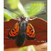 うまれたよ！ ベニシジミ（岩崎書店） [電子書籍]