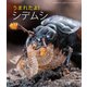 うまれたよ！ シデムシ（岩崎書店） [電子書籍]