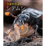 うまれたよ！ シデムシ（岩崎書店） [電子書籍]