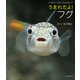 うまれたよ！ フグ（岩崎書店） [電子書籍]