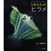 うまれたよ！ ヒラメ（岩崎書店） [電子書籍]