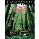 どこ？ もりの なかの さがしもの（講談社） [電子書籍]