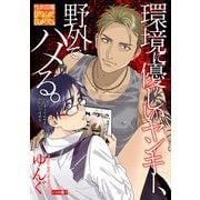 環境に優しいヤンキー、野外でハメる。（ジュネット） [電子書籍]