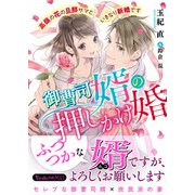 御曹司婿の押しかけ婚～高嶺の花の旦那サマといきなり新婚です～（ヴァニラ文庫） [電子書籍]