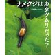 ナメクジはカタツムリだった？（岩崎書店） [電子書籍]