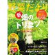 野菜だより 2024年1月号（ブティック社） [電子書籍]