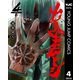 カタギモドシ 4（集英社） [電子書籍]