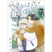 【分冊版】やまとは恋のまほろば （38）（文藝春秋） [電子書籍]