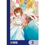 聖女様に醜い神様との結婚を押し付けられました【分冊版】 3（KADOKAWA） [電子書籍]