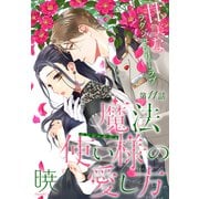 魔法使い様の愛し方（1話売り） story11（白泉社） [電子書籍]