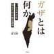 ガザとは何か～パレスチナを知るための緊急講義（大和書房） [電子書籍]