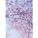 いちばんすきな花 公式メモリアルブック（扶桑社） [電子書籍]